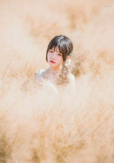 婉婉如梦霄 电视剧
