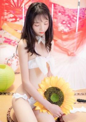 玩具入侵by金银花露